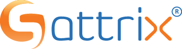 Sattrix Information Security logo