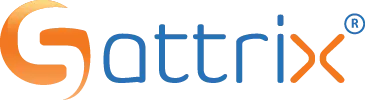 Sattrix Information Security logo